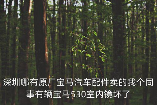 深圳哪有原厂宝马汽车配件卖的我个同事有辆宝马530室内镜坏了