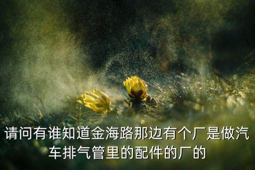 请问有谁知道金海路那边有个厂是做汽车排气管里的配件的厂的