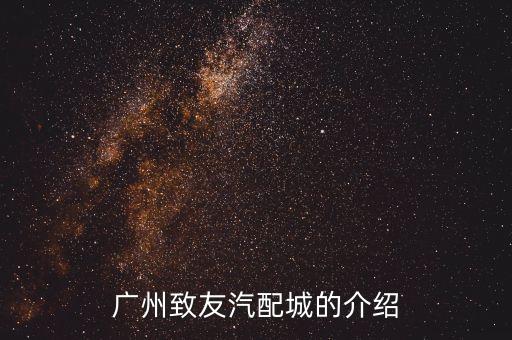 广州致友汽配城的介绍