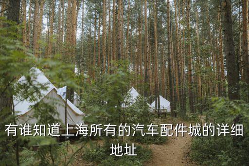 上海汽配城有多少，上海汽车用品市场都有哪些