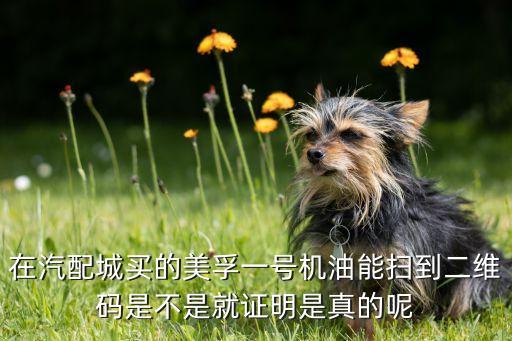 在汽配城买的美孚一号机油能扫到二维码是不是就证明是真的呢
