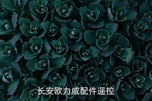 长安欧力威配件遥控