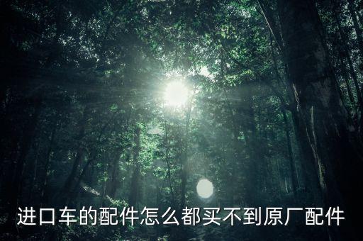 宾赛汽车配件，进口车的配件怎么都买不到原厂配件