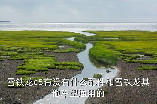 雪铁龙c5有没有什么配件和雪铁龙其他车型通用的