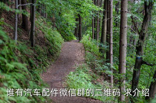 谁有汽车配件微信群的二维码 求介绍
