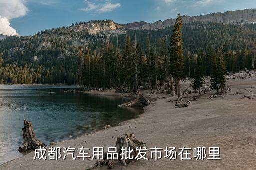 成都汽车用品批发市场在哪里