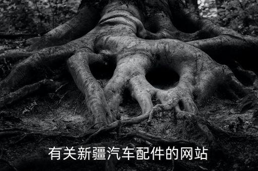 有关新疆汽车配件的网站