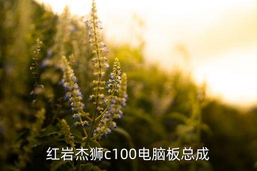 红岩杰狮汽车配件，红岩杰狮c100电脑板总成