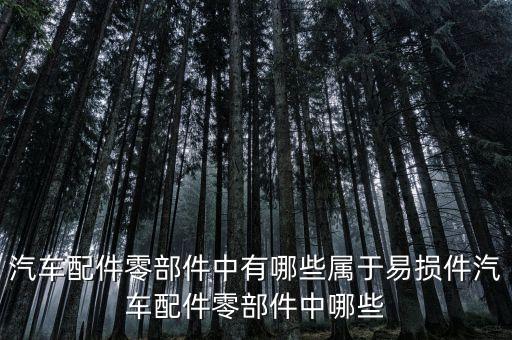 汽车配件零部件中有哪些属于易损件汽车配件零部件中哪些