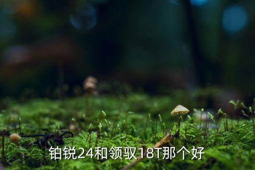 铂锐24和领驭18T那个好