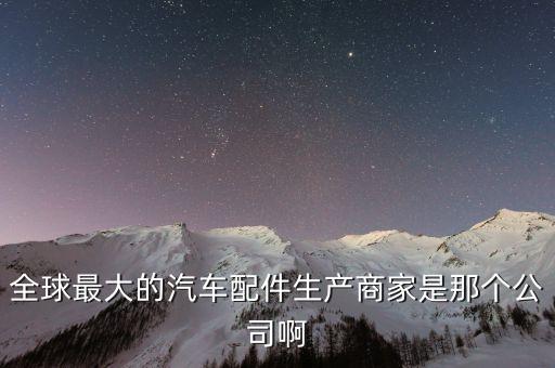 汽车配件厂家的是什么，全球最大的汽车配件生产商家是那个公司啊