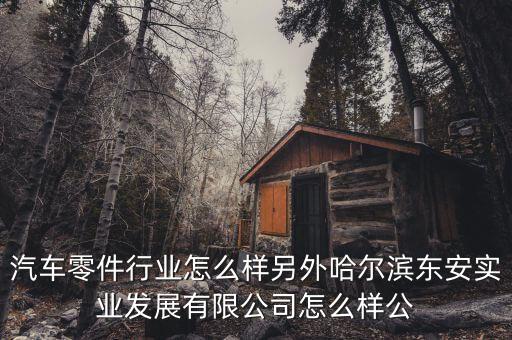 汽车零件行业怎么样另外哈尔滨东安实业发展有限公司怎么样公