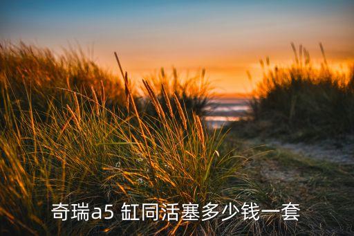 奇瑞a5 缸同活塞多少钱一套