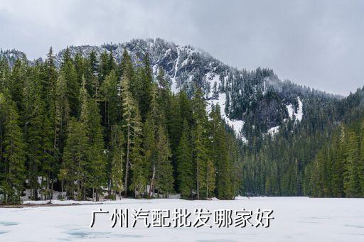 广州汽配批发哪家好