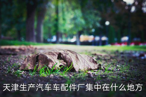 天津生产汽车车配件厂集中在什么地方