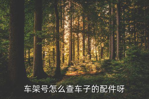 车架号怎么查车子的配件呀