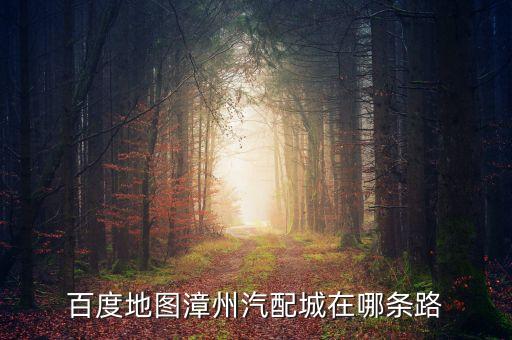 百度地图漳州汽配城在哪条路