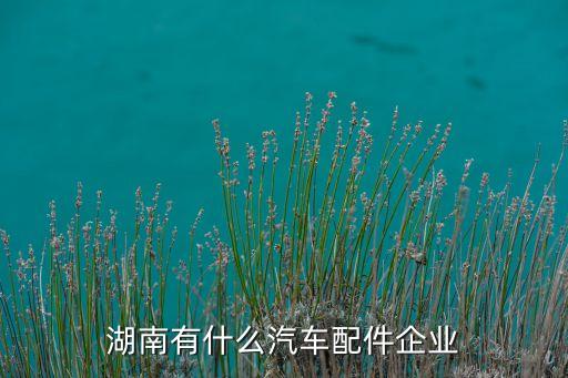湖南有什么汽车配件企业