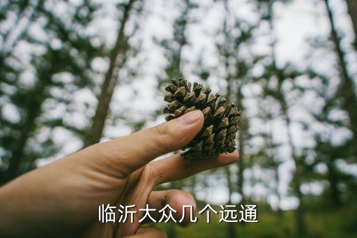 临沂大众几个远通