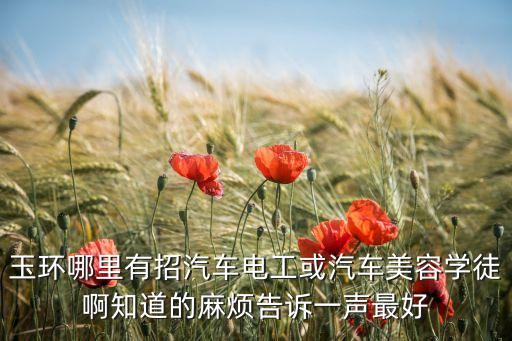 玉环哪里有招汽车电工或汽车美容学徒啊知道的麻烦告诉一声最好