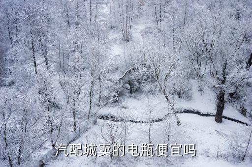 汽配城卖的电瓶便宜吗