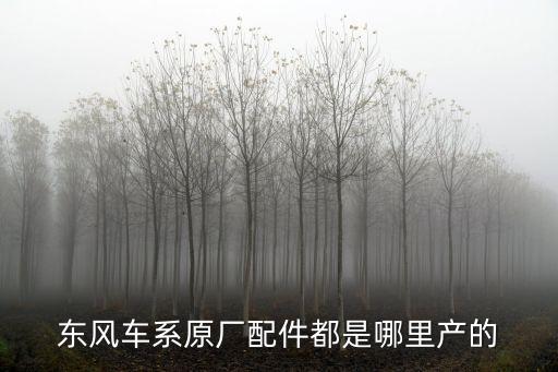 东风风光580汽车配件供应商，东风车系原厂配件都是哪里产的