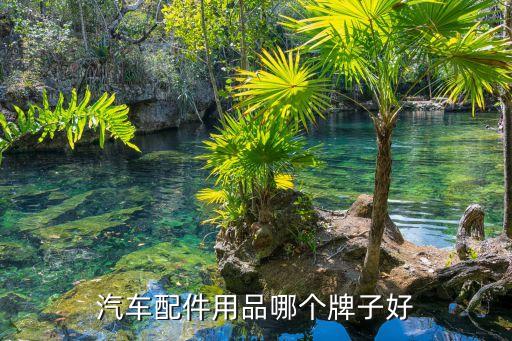 汽车配件用品哪个牌子好