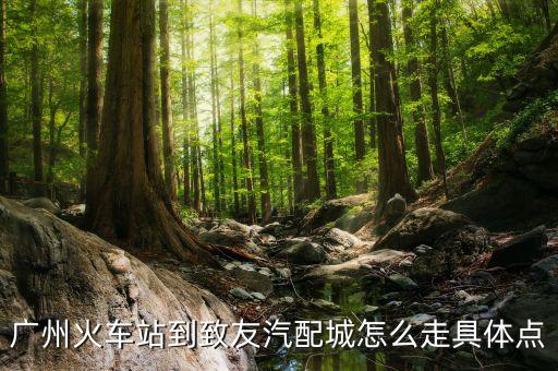 广卅致友汽配城，广州致友汽配城的主营产品