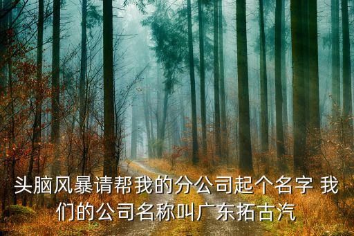 头脑风暴请帮我的分公司起个名字 我们的公司名称叫广东拓古汽