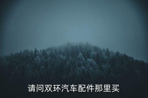 请问双环汽车配件那里买