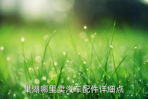 巢湖哪里卖汽车配件详细点