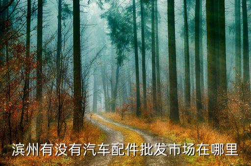 滨州有没有汽车配件批发市场在哪里