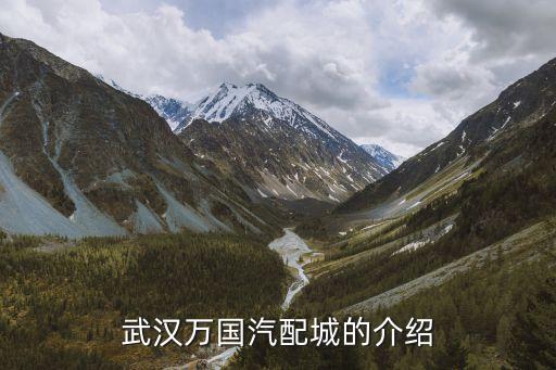 武汉万国汽配城的介绍