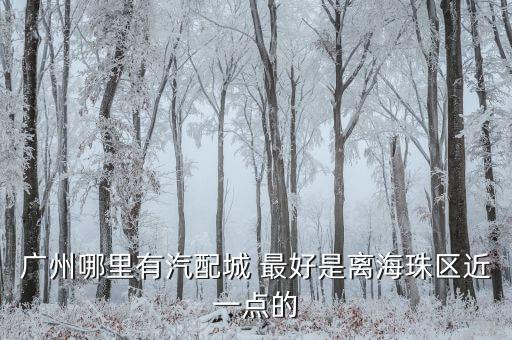 广州启迪汽配，广州哪里有汽配卖