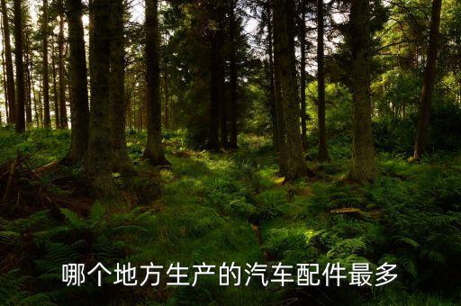 哪个地方生产的汽车配件最多