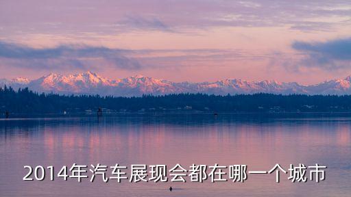 2014年汽车展现会都在哪一个城市