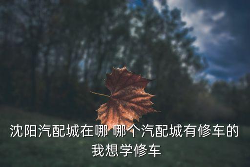 沈阳汽配城在哪 哪个汽配城有修车的 我想学修车