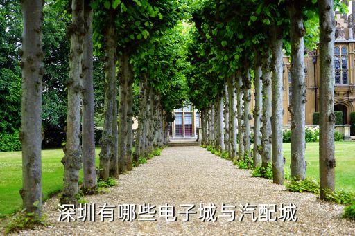 深圳汽车配件展新产品，深圳有哪些电子城与汽配城