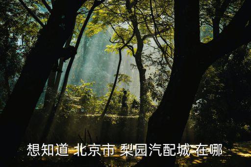 想知道 北京市 梨园汽配城 在哪