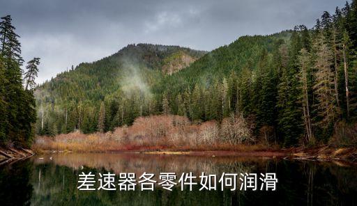 差速器各零件如何润滑