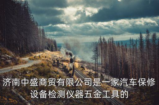 济南中盛商贸有限公司是一家汽车保修设备检测仪器五金工具的