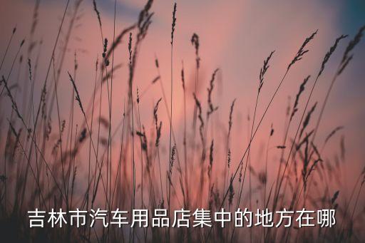 吉林市汽车用品店集中的地方在哪
