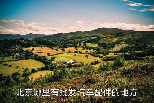 北京丰田通汽车配件销售，北京哪有卖丰田件的电话多少