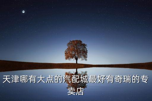 天津哪有大点的汽配城最好有奇瑞的专卖店