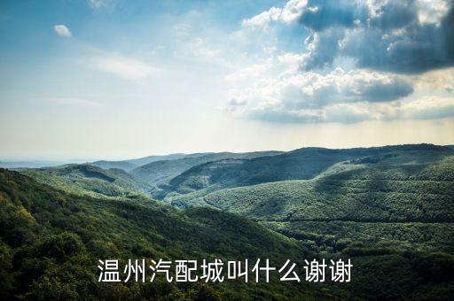 温州汽配城叫什么谢谢