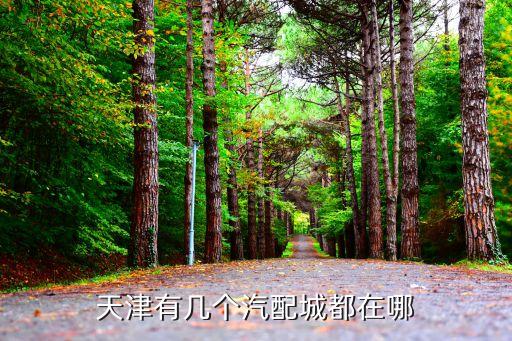 天津有几个汽配城都在哪