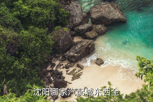 沈阳哪家汽配城东西全