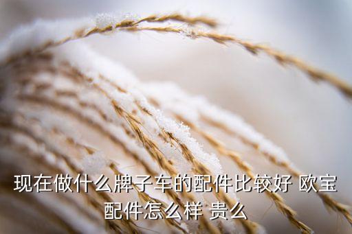 现在做什么牌子车的配件比较好 欧宝配件怎么样 贵么