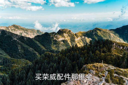 买荣威配件那里全