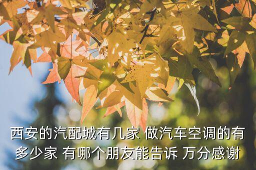 西安的汽配城有几家 做汽车空调的有多少家 有哪个朋友能告诉 万分感谢